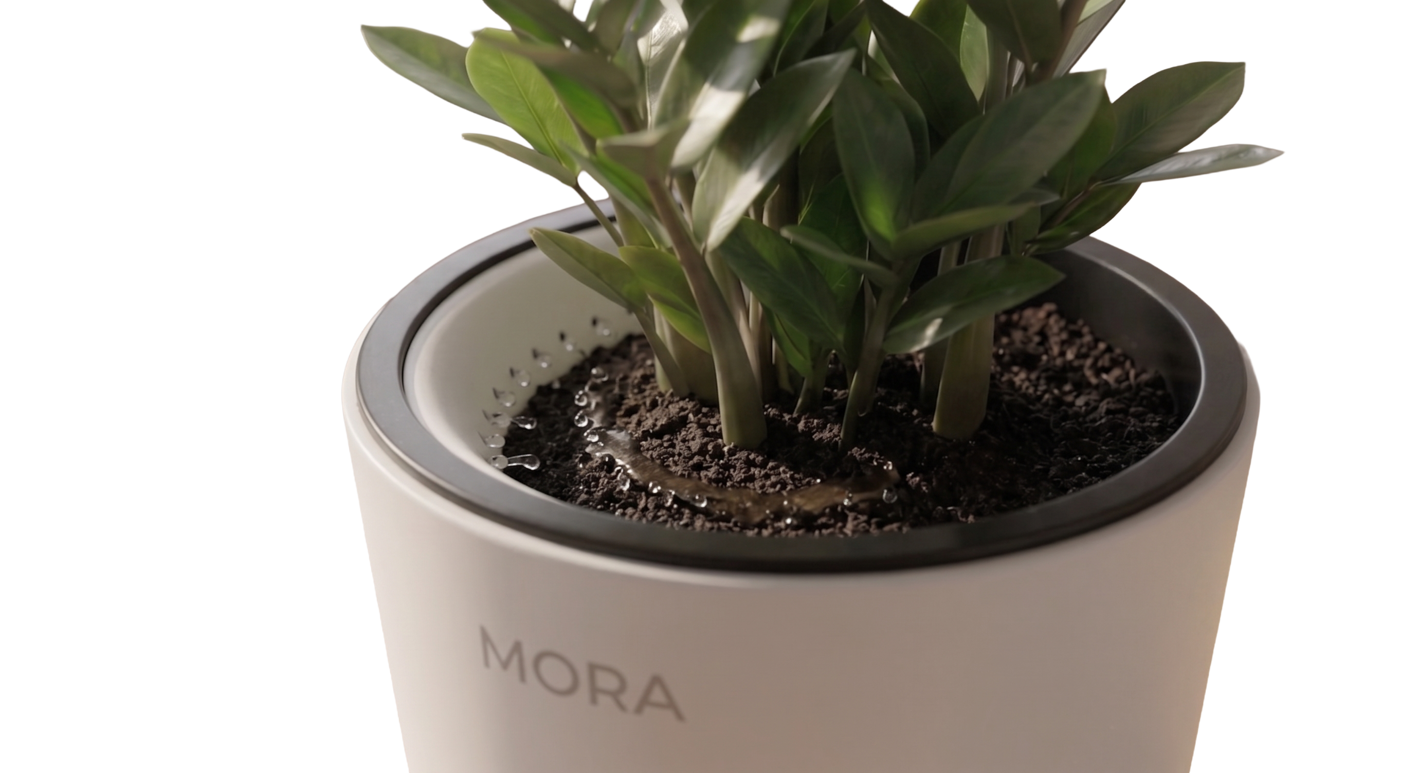 MORA close detail