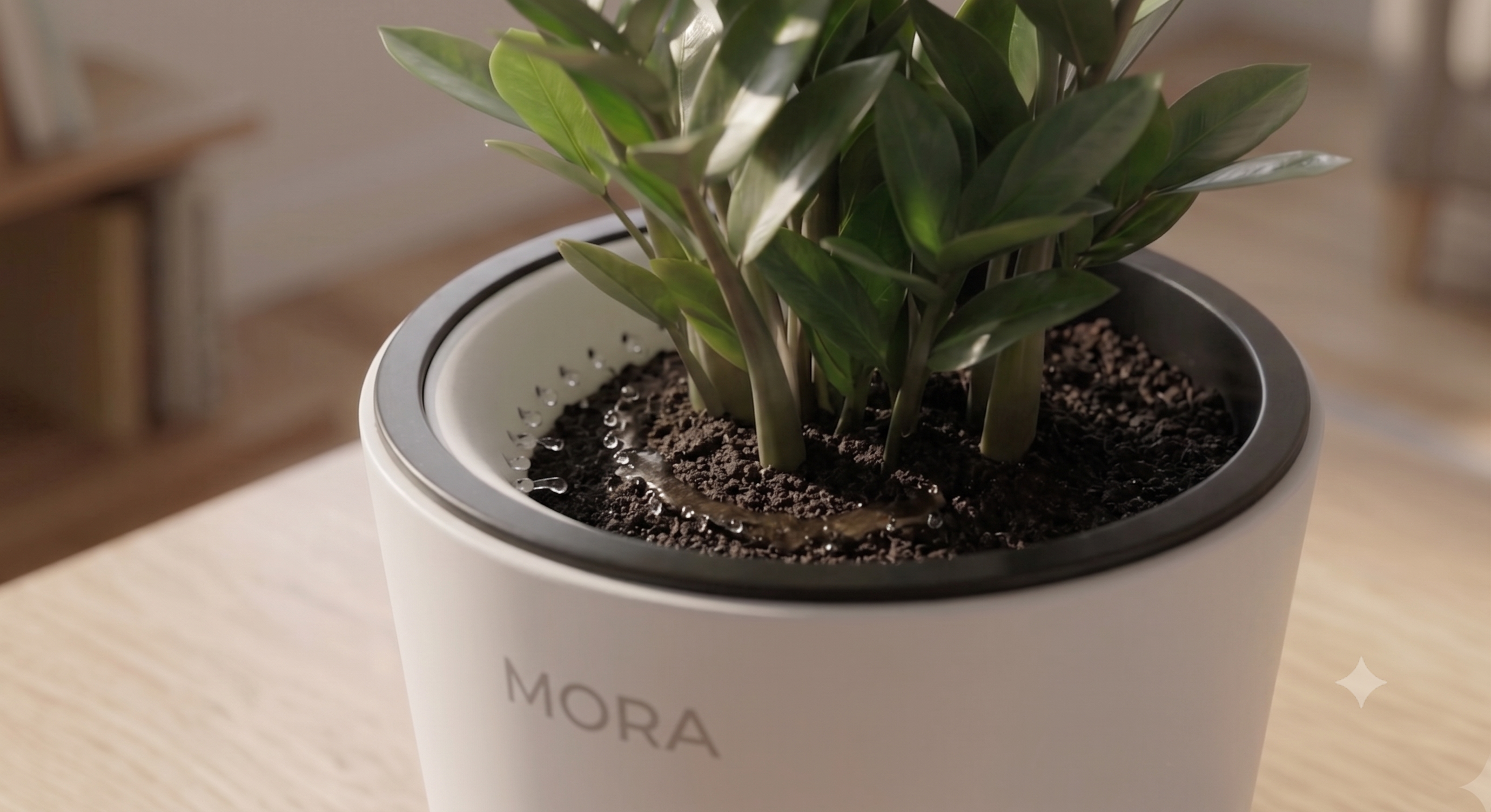 MORA automated ring-irrigation